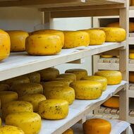 TonKa – sýrárna na statku