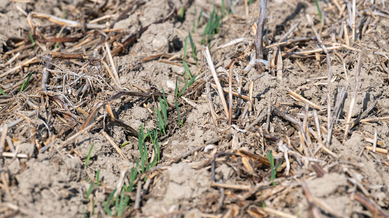 Školení Přechod na regenerativní zemědělství