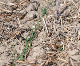 Školení Přechod na regenerativní zemědělství