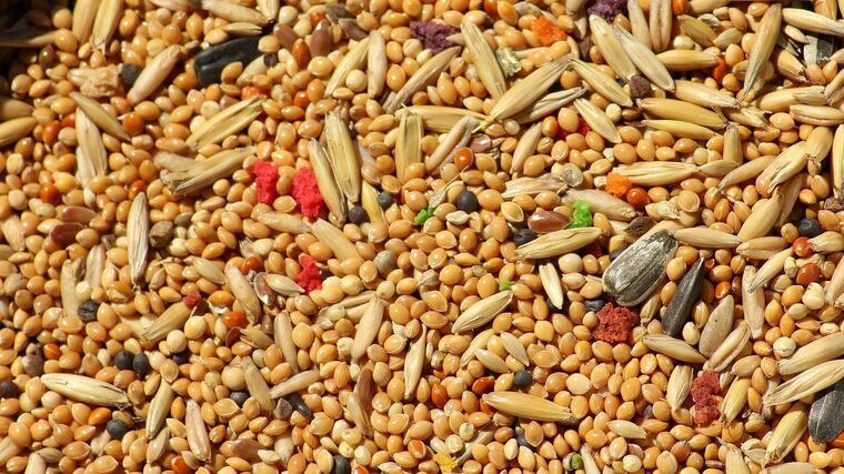 EU je příliš závislá na dovozu krmiva a hnojiv, varuje studie
