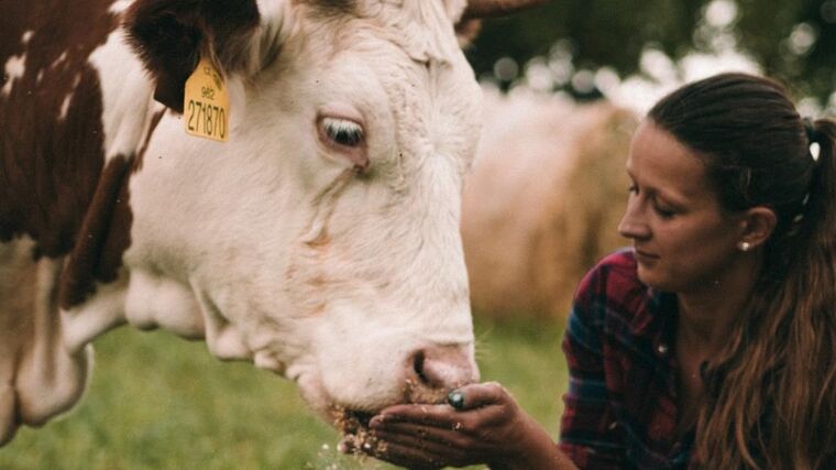 Mladí farmáři se vracejí na pole. Nadšení ale naráží na drahou půdu i složité dotace