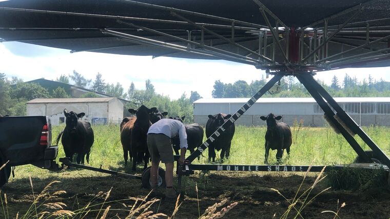 Regenerativní zemědělství v praxi na Polním dni v Drahenicích 