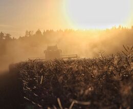 Týden v zemědělství podle Petra Havla – č. 32