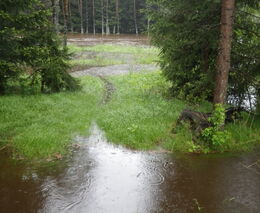 Vláda dobře zvládla povodňovou krizi a nyní je třeba pomoci zasaženým