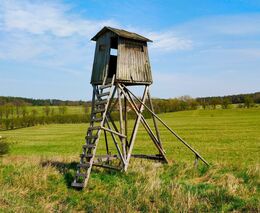 Petr Havel: Navrhovaná novela mysliveckého zákona je přínosem pro krajinu i zemědělce