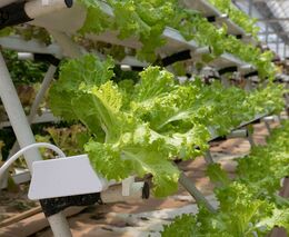 Newsletter k mezinárodnímu projektu HydroFarmVET