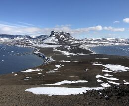 Antarktické bakterie mohou chránit plodiny před mrazem, látky v nich mohou fungovat jako antibiotika