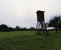 Vystoupení z honebního společenstva