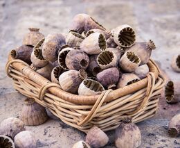 Značku ŽELEZNÉ HORY regionální produkt nově nese koláč Staré časy, mák i originální výrobky ze dřeva