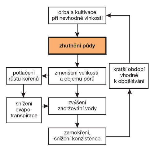 Obrázek 8