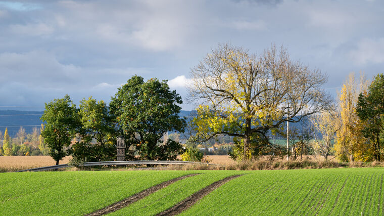 Zemědělský program nové vlády jsou populární řeči bez skutečně potřebné strategie pro naši zemi