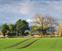 Zemědělský program nové vlády jsou populární řeči bez skutečně potřebné strategie pro naši zemi