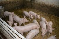 Význam krajských podpor pro farmáře je dle ústeckého radního Kučery jednoznačný