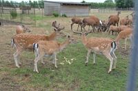 Význam krajských podpor pro farmáře je dle ústeckého radního Kučery jednoznačný