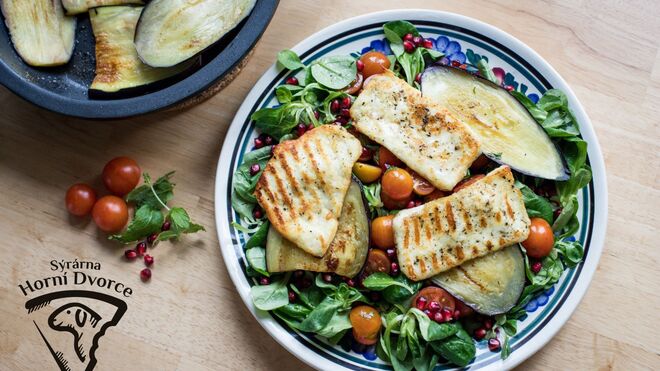 Statek Horní Dvorce