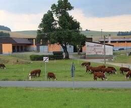 Bronz ve Farmě roku 2023 - Farma ALMAKO 