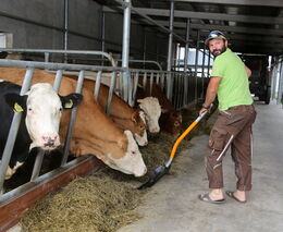K opatřením kvůli slintavce a kulhavce s Jakubem Erlerem z ASZ Pardubice, Chrudim ve Studiu ČT24