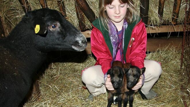 Turistatek Javořice