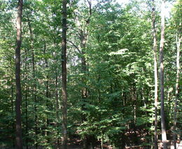 Promíchat, netřepat!