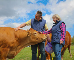 Ekofarmou roku je hospodářství z Krušných hor s chovem plemenného dobytka