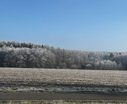 Týden v zemědělství podle Petra Havla - č. 1