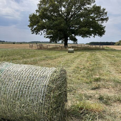 Farmář Ježek
