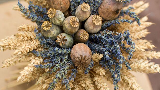 Rodinná farma Nováčkovi Stará Bělá