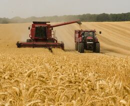 Studie: Nové nastavení zemědělských dotací negativně ovlivní 2000 velkých firem