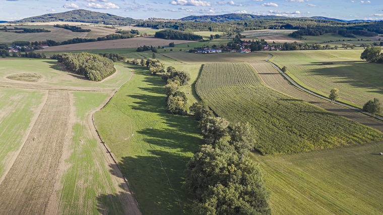 Účastníci osmého ročníku programu Pestrá krajina v pořadu Nedej se! v České televizi  