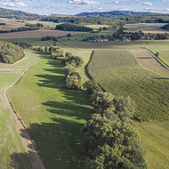 Účastníci osmého ročníku programu Pestrá krajina v pořadu Nedej se! v České televizi  