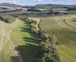 Účastníci osmého ročníku programu Pestrá krajina v pořadu Nedej se! v České televizi  