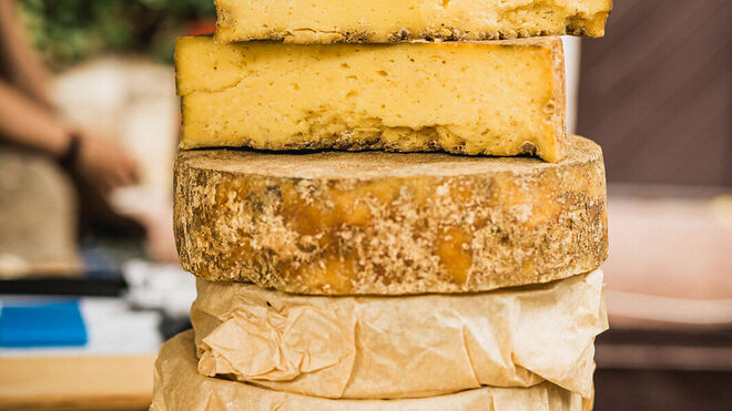 Michal Hrdlička - Sýry Brníčko