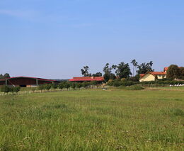 Týden podle PH č. 36 - 2022 (pH týdne: 6)