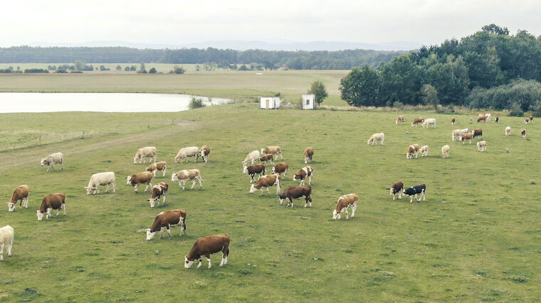 Sedláci představili novému vedení MŽP své postoje k aktuálním tématům ochrany přírody