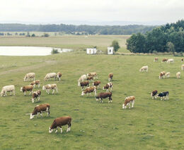 Sedláci představili novému vedení MŽP své postoje k aktuálním tématům ochrany přírody