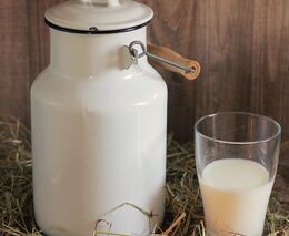 Konkurenceschopné mléko