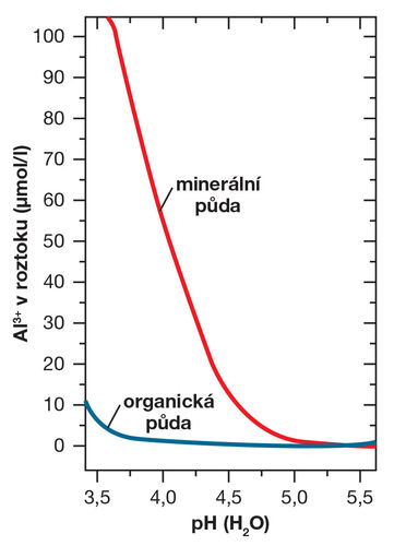 obrázek 1