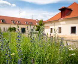 O titul Adapterra Awards letos soutěží 77 realizací z Česka