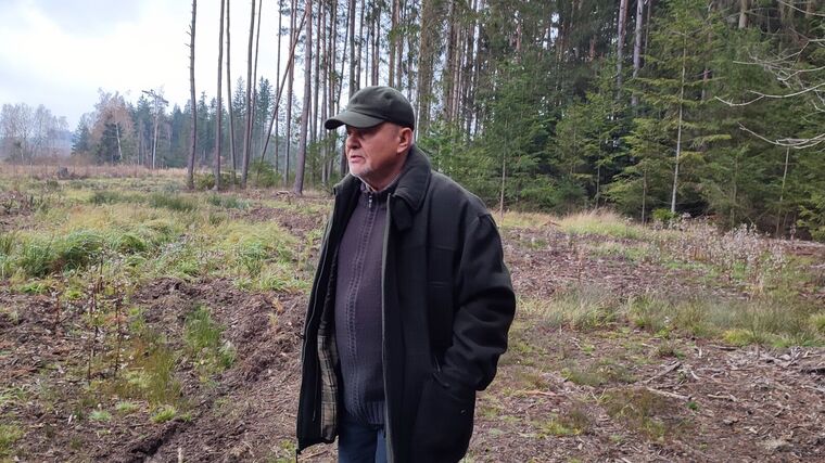V Česku chybí podpora drobných vlastníků lesa: dobrovolné spolky by pomohly chránit lesy 