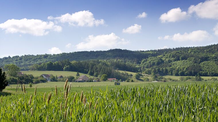  Vědci: Zelená dohoda pomáhá EU zlepšovat výsledky v ochraně klimatu