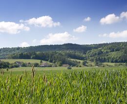  Vědci: Zelená dohoda pomáhá EU zlepšovat výsledky v ochraně klimatu