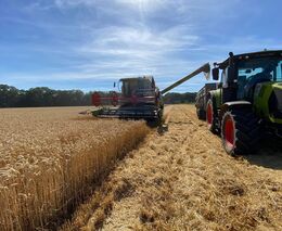 Žně z pohledu regionů ASZ - 26. července 