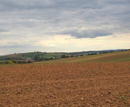 Ministři a ministryně zemědělství schválili pozici ke společné zemědělské politice po roce 2027