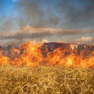 Rozsáhlejší zemědělské požáry mohou snížit úrodnost půdy či zvýšit riziko eroze