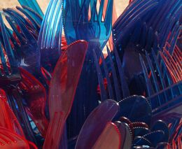 Senát schválil zákaz plastových příborů, talířů nebo brček