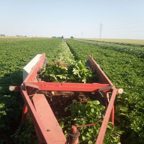 Breagro Král s.r.o.