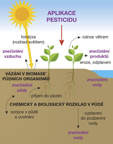 Obrázek 3