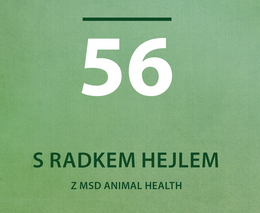 Radek Hejl z firmy MSD Animal Health: Prevence je levnější než léčba