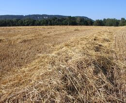 Aplikace dusíkatých hnojiv na slámu 