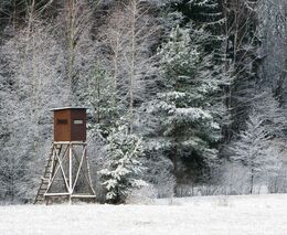  Božídarské lesy ukazují, že myslivost je možné provozovat tak, aby prospívala lesu